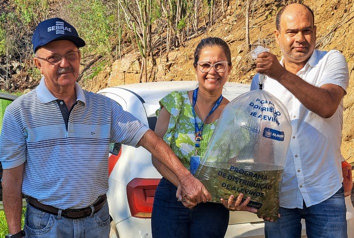 Seagri Distribui Mais de 100 Mil Alevinos de Tilápia em Março