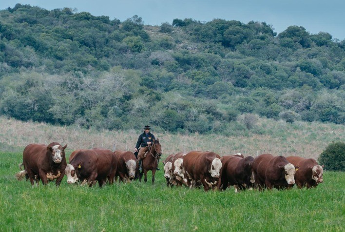 Estância Bela Vista Participa da Gira Técnica do 9º Congresso Mundial Braford
