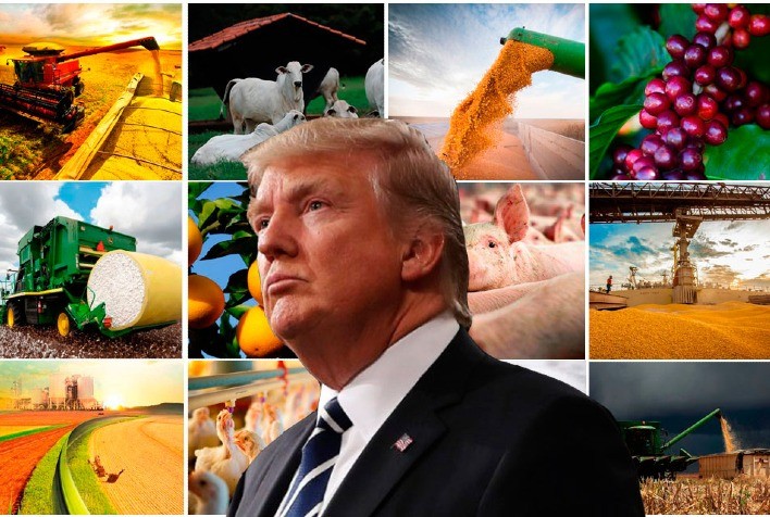 EUA enfrentam desafios no comércio agrícola com novas tarifas de Trump