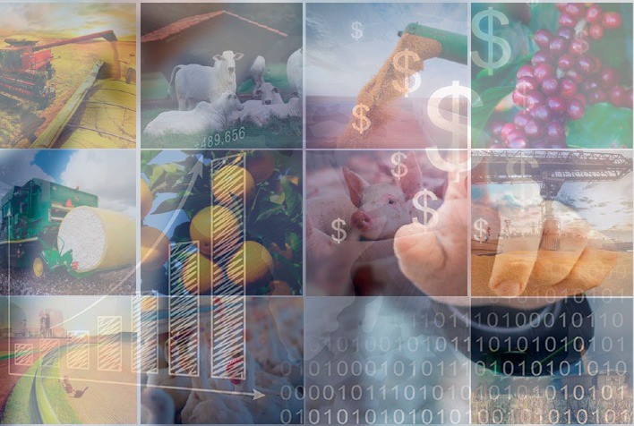 Preços agropecuários sobem 2,4% em fevereiro, impulsionados por grãos e pecuária