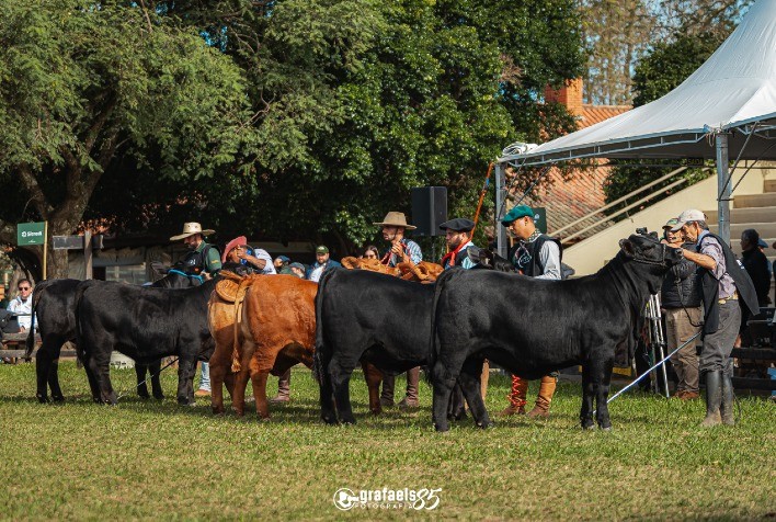 ExpoBrangus 2025 acontece de 19 a 22 de maio em Uruguaiana (RS)