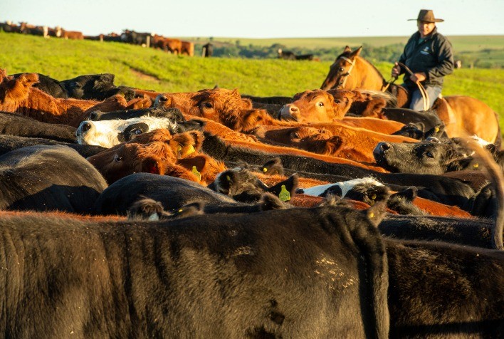 Proprietários de imóveis rurais em áreas de fronteira devem regularizar títulos até outubro de 2025