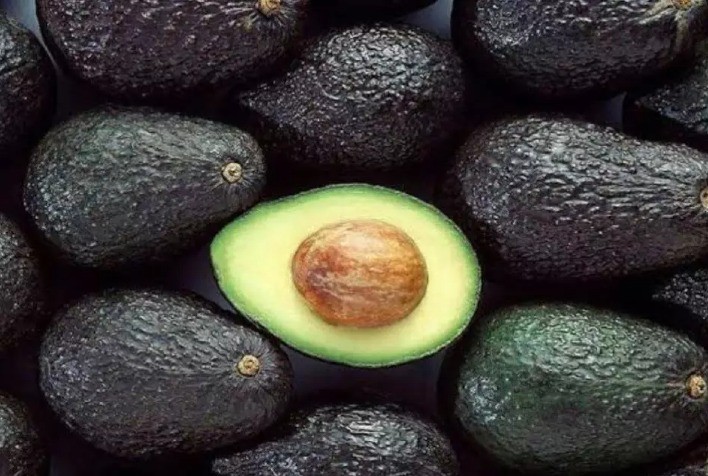 São Paulo amplia exportação de avocado para novos mercados