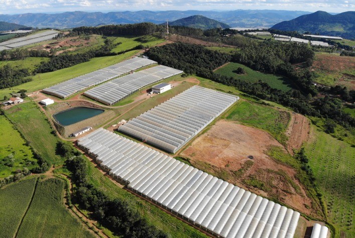 Filme plástico ideal para estufas impulsiona produtividade e reduz perdas no cultivo protegido