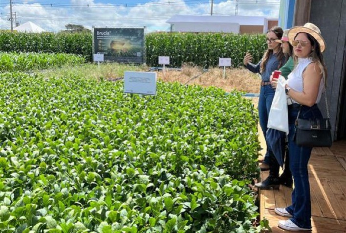 Ourofino Agrociência apresenta inovações no controle de daninhas e doenças foliares durante a Tecnoshow Comigo 2025