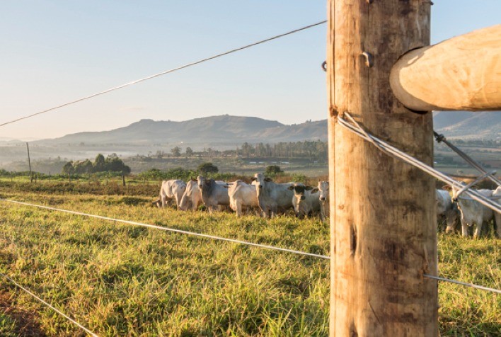 Belgo Arames destaca inovações em cercamento rural na Tecnoshow Comigo 2025