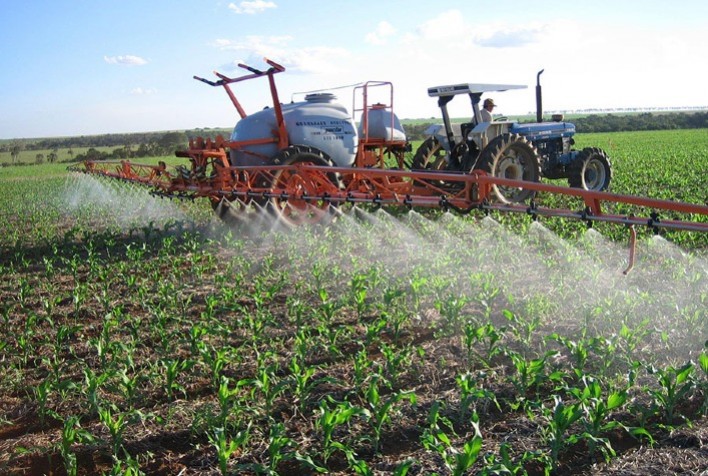 Novo bioinseticida à base de vírus apresenta mais de 85% de eficácia contra lagarta-do-cartucho