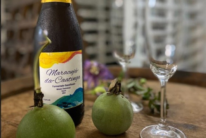 Maracujá-da-caatinga inspira bebida fermentada e gaseificada com alto valor agregado