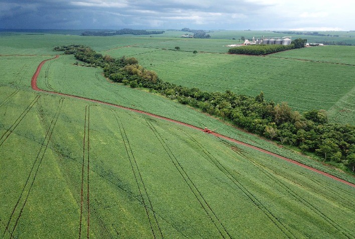 Plantio da segunda safra de milho é concluído no Paraná, com previsão de 15,9 milhões de toneladas