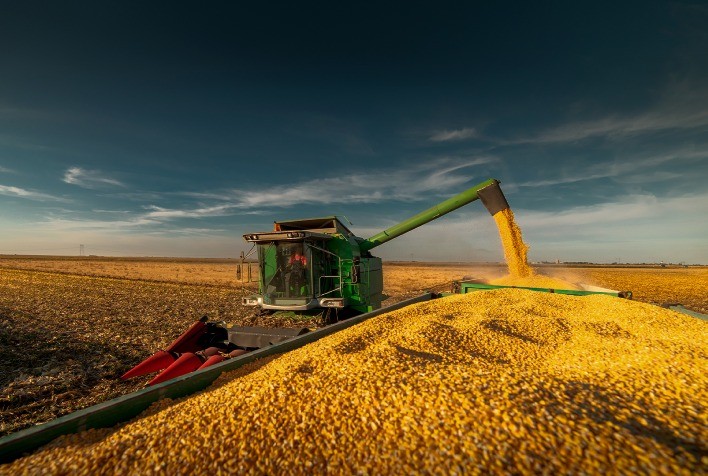 Mercado do milho apresenta oscilações regionais e forte volatilidade na B3