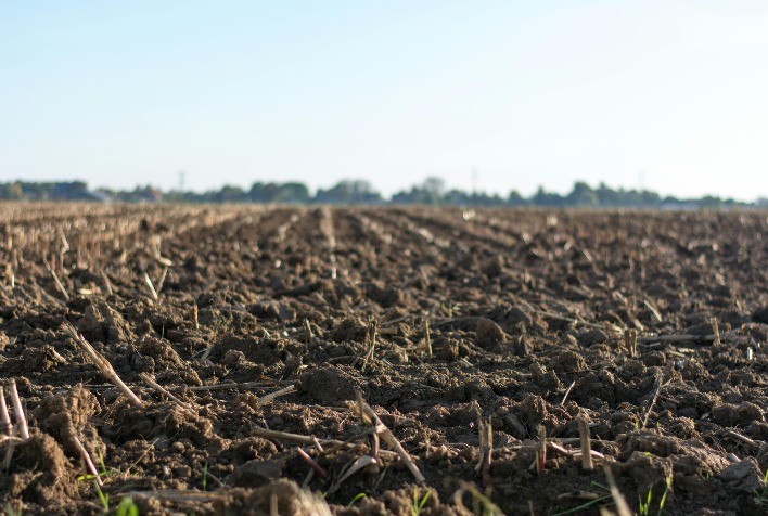 Soluções biológicas ganham destaque na recuperação de pastagens degradadas no Brasil