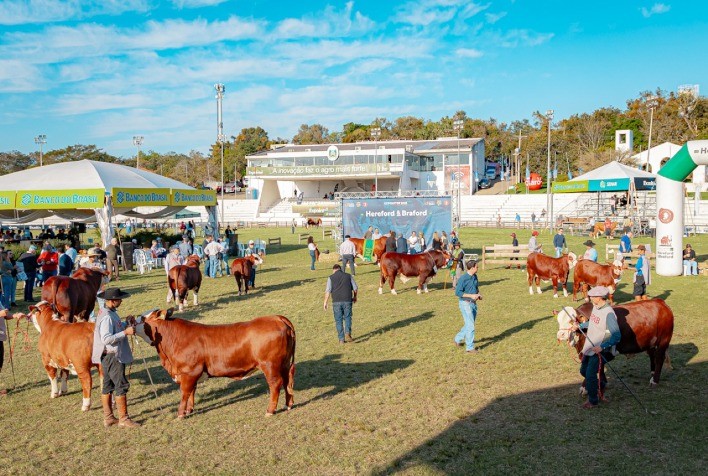 Mundial Braford realiza etapa de julgamentos e palestras em Esteio (RS)