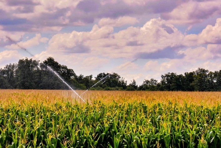 Energia solar e irrigação sustentável: aliança estratégica para eficiência no campo