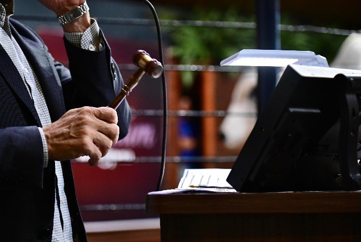 Leiloeiros em Minas Gerais podem ser responsabilizados por ICMS em venda de gado sem nota fiscal