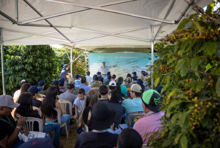 Fundação Procafé divulga calendário dos Dias de Campo 2025 com foco em tecnologias para a cafeicultura