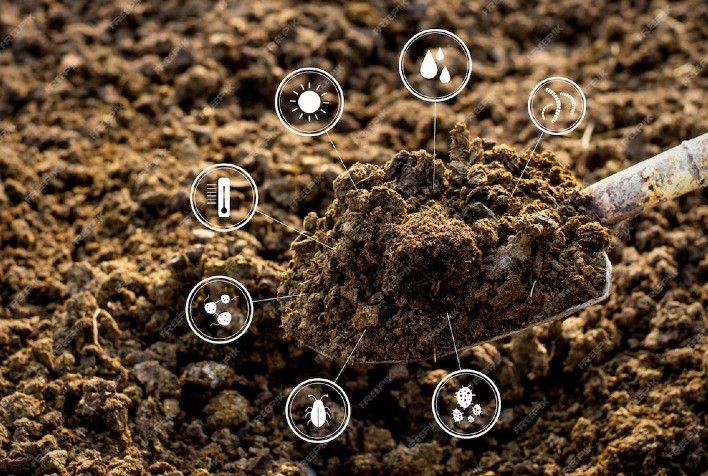 Nova regulamentação pode transformar o Brasil em potência global na produção de bioinsumos