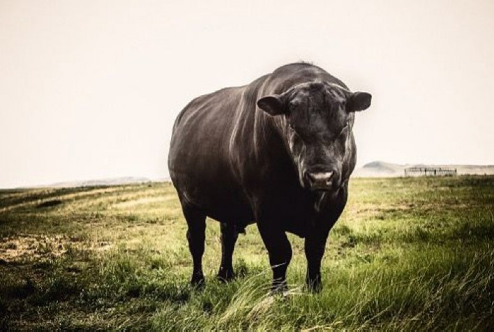 Agrotalk Show 2025 destaca diversidade do agro nacional e promove debate internacional sobre economia e produção