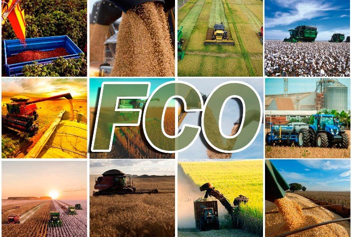 FCO Rural aprova R$ 104,7 milhões em crédito para Goiás