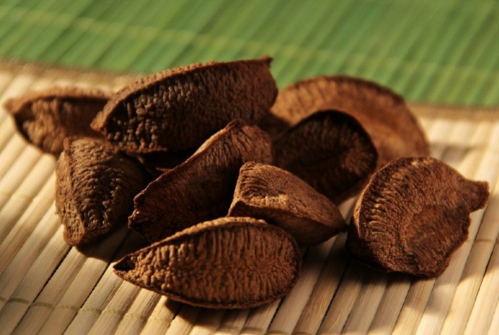 Crise na Produção de Castanha-da-Amazônia Exige Adaptação ao Clima Extremo