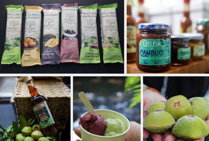 Frutas da Mata Atlântica ganham espaço no mercado com incentivo do SP Produz