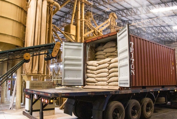 Exportações de café recuam 25% em março, mas receita cambial registra alta expressiva