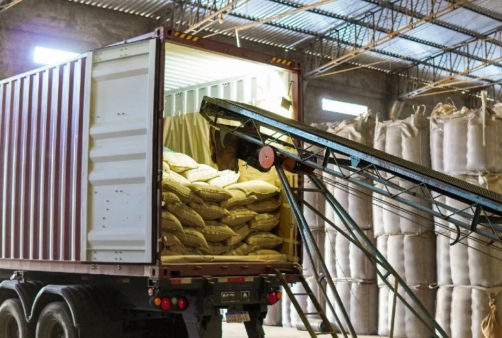 Exportações de Café do Brasil Apresentam Crescimento na Receita, Mas Enfrentam Queda no Volume Exportado em Março de 2025