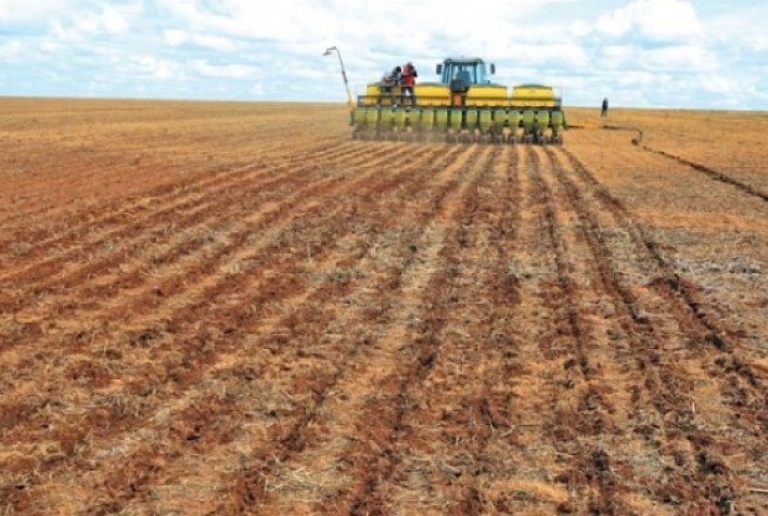 Semeadura da nova safra de trigo começa com redução na área plantada