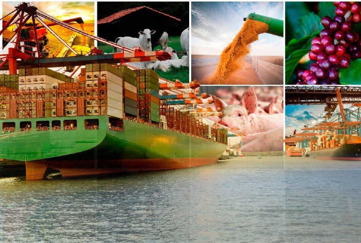 Exportações do Agronegócio Brasileiro Registram Crescimento de 12,5% em Março de 2025