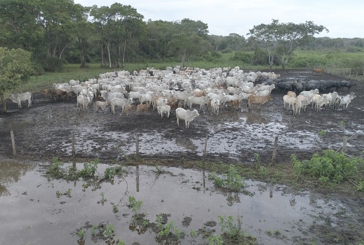 Uso de arames adequados em áreas alagadiças minimiza prejuízos e preserva infraestrutura rural