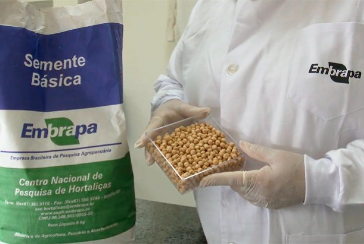 Embrapa inicia testes com batata-doce e grão-de-bico no espaço para desenvolver cultivos adaptados a ambientes extremos