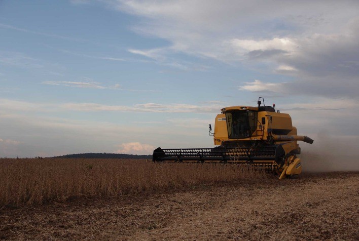 Colheita de soja atinge 92,5% da área no Brasil; milho verão avança para 68,2% e arroz chega a 76,1%
