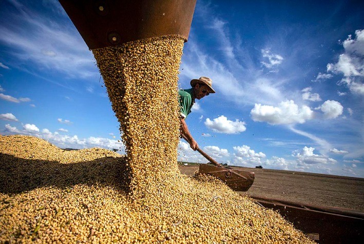 Desempenho da cadeia da soja e do biodiesel recua em 2024, apesar de avanços na agroindústria