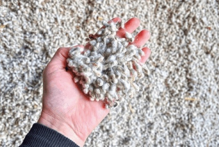 Escassez impulsiona valorização do caroço de algodão em Mato Grosso