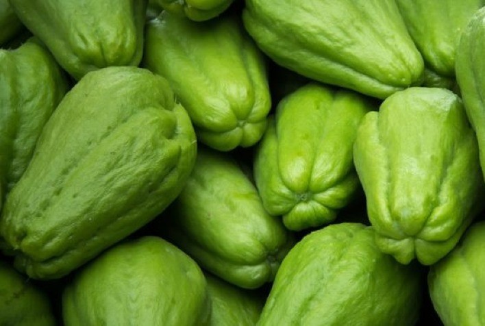 O Chuchu: Uma Hortaliça Subestimada com Grande Potencial Econômico e Terapêutico