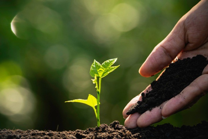 Inovação no Agronegócio: O Futuro da Agricultura Sustentável