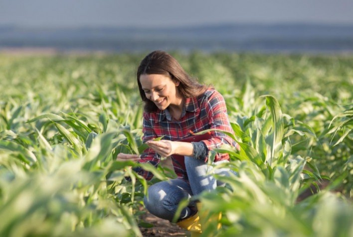 Mulher Rural: Protagonismo e Transformação no Agronegócio Brasileiro