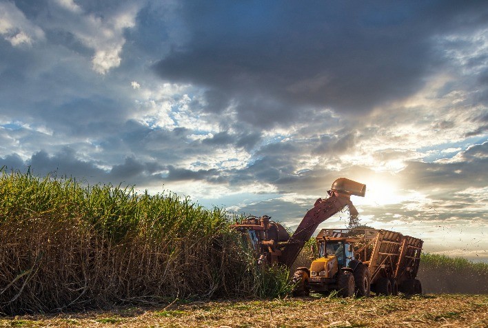 Grupo eslovaco AZC adquire 50% de usina sucroalcooleira em Minas Gerais