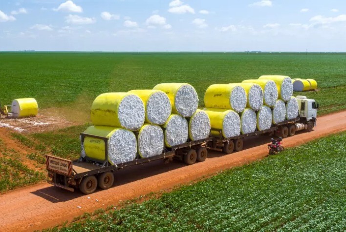 AMAGGI testa nova rota de exportação de algodão por Manaus