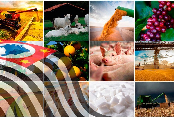 Governo de São Paulo anuncia R$ 150 milhões em crédito para impulsionar o agronegócio