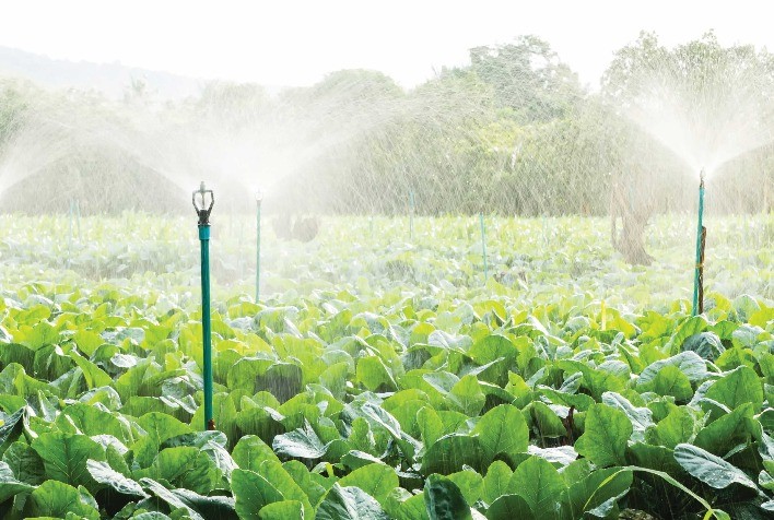 SIT 2025: Emater-MG abre inscrições para cursos voltados à agricultura sustentável