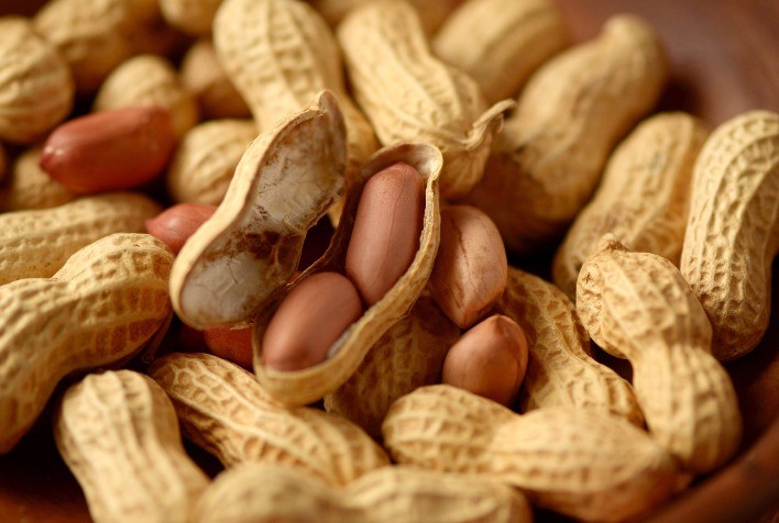 Produção de amendoim no Brasil mais que dobra em uma década e projeta novo salto em 2025