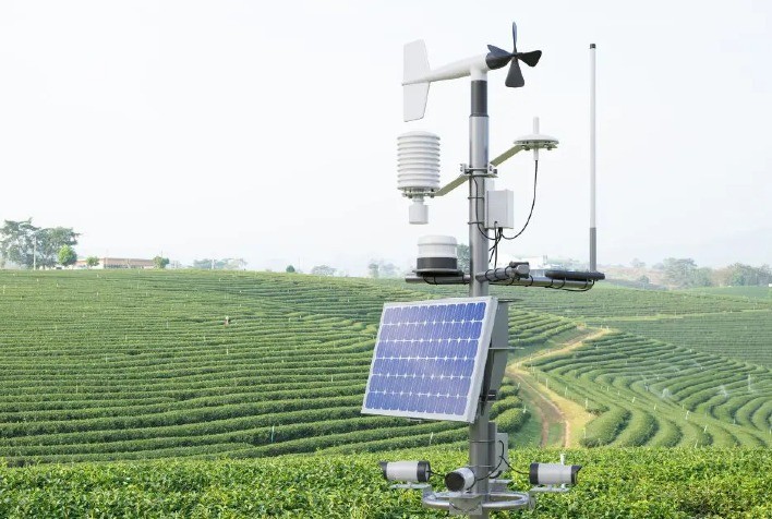 TIM e Grupo Pedra expandem conectividade 4G para mais de 1 milhão de hectares no campo