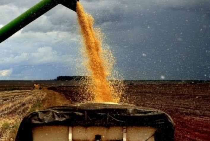 Soja mantém estabilidade em Chicago mesmo com plantio acelerado nos EUA