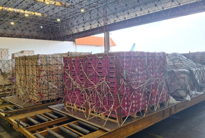 Exportação de Frutas para a Europa registra crescimento no primeiro trimestre de 2025