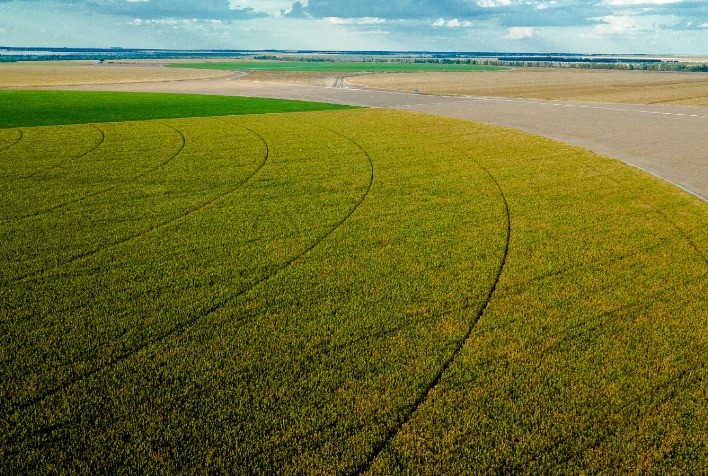 Conectividade no campo: 66,55% da área de cana-de-açúcar no Brasil já conta com acesso à internet móvel