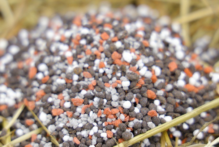 Fertilizantes Orgânicos da Terraplant Promovem Nutrição Equilibrada e Sustentável para o Ciclo Completo das Culturas