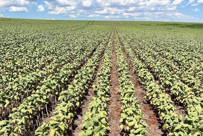 Inadimplência em contratos de arrendamento rural não é justificada por eventos climáticos, alerta especialista