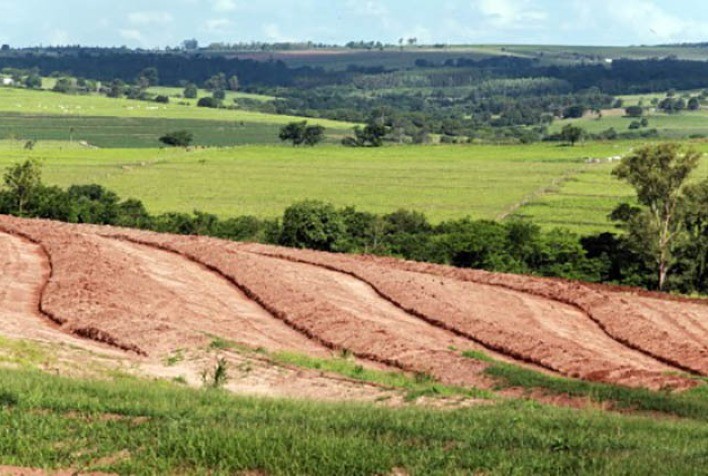 Empresas e ONGs alertam para retrocessos no Código Florestal com tramitação de projeto na Câmara