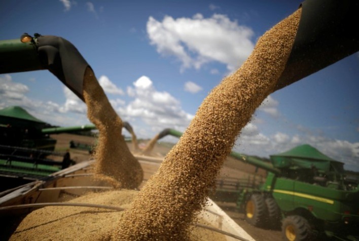 Tensão no Mercado de Soja: Preços Sobem em Chicago, Mas Expectativa é de Cautela Antes do Encontro China-EUA