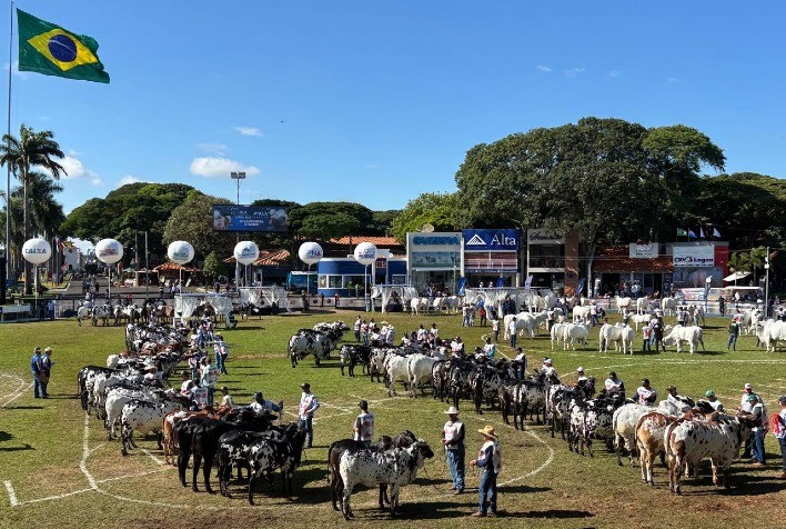 Raça Nelore brilha na 90ª Expozebu com mais de 1.100 animais e faturamento superior a R$ 150 milhões